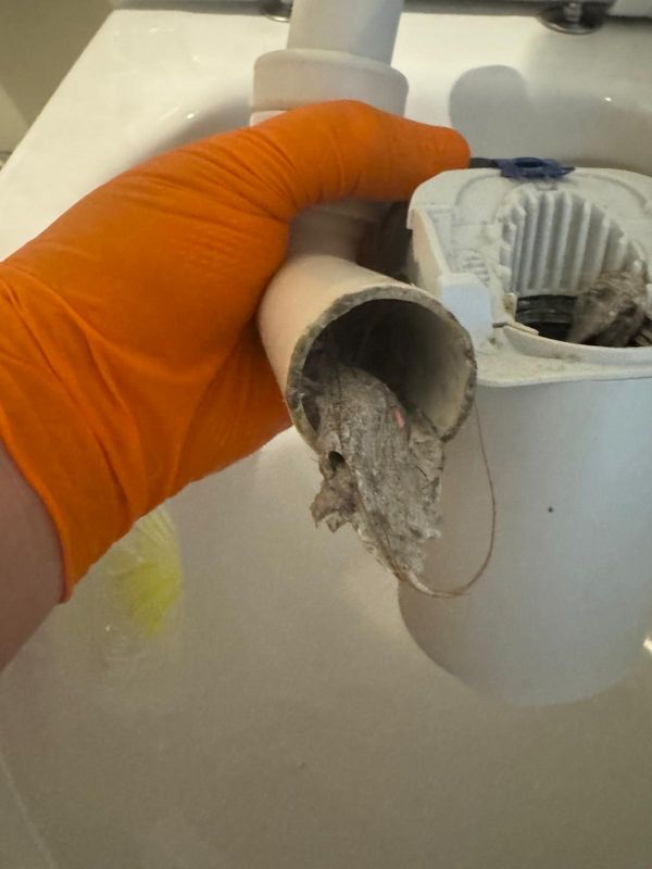 Ausgebautes Siphon-Rohrstück mit Verstopfung wird im Badezimmer gezeigt
