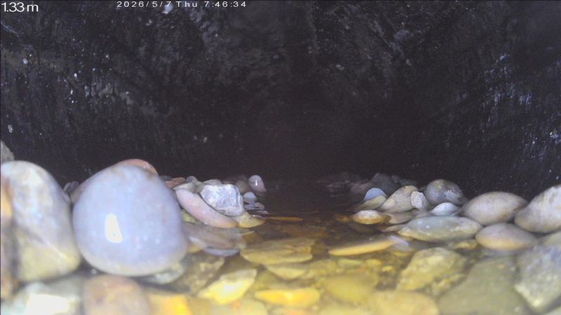 TV-Kamera-Aufnahme: Geröll und stehendes Wasser in einem Kanalrohr, Zählerstand 1.33 Meter